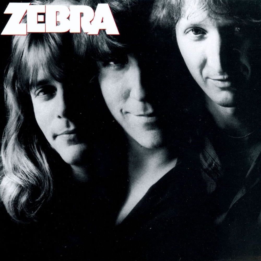 Zebra cover