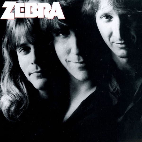 Zebra cover