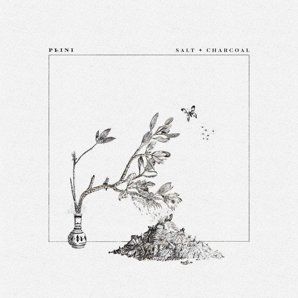 Salt + Charcoal cover