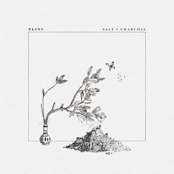 Salt + Charcoal cover