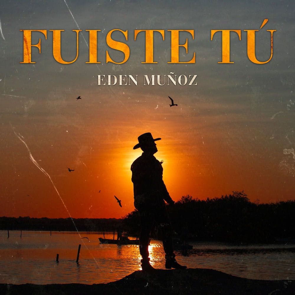 Fuiste tú cover