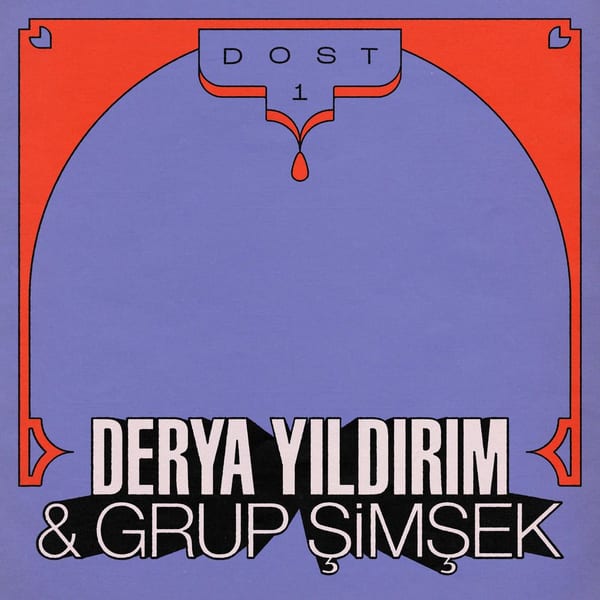 Dost 1 cover