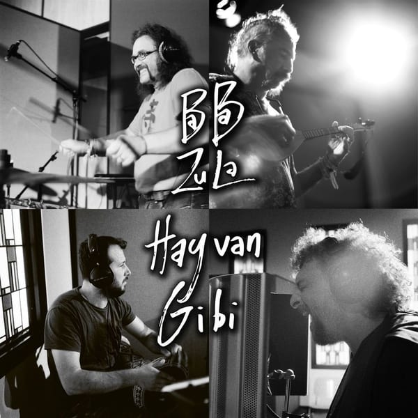 Hayvan Gibi cover