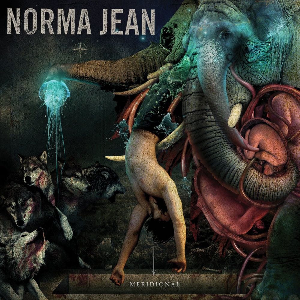 Meridional cover