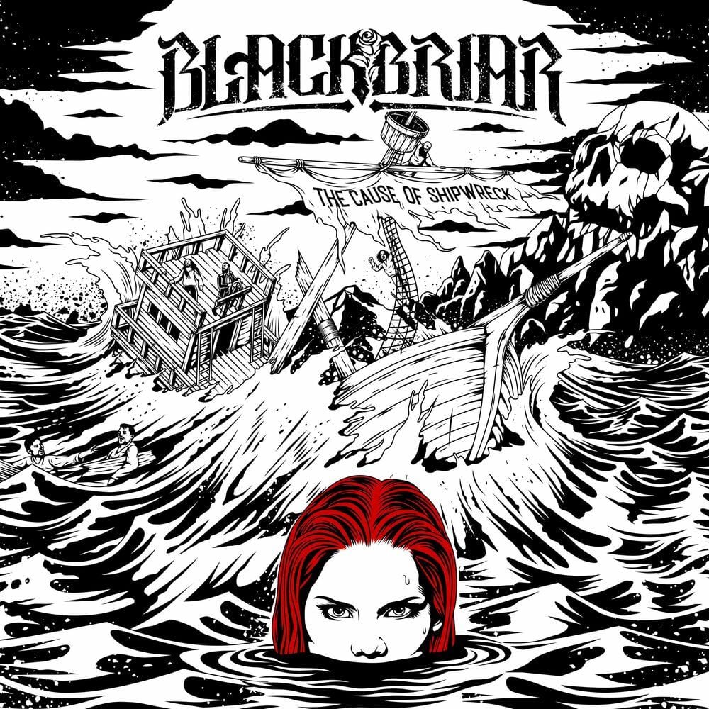 The Cause of Shipwreck cover