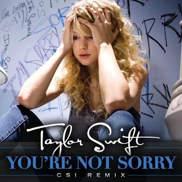 You're Not Sorry (CSI Remix) cover