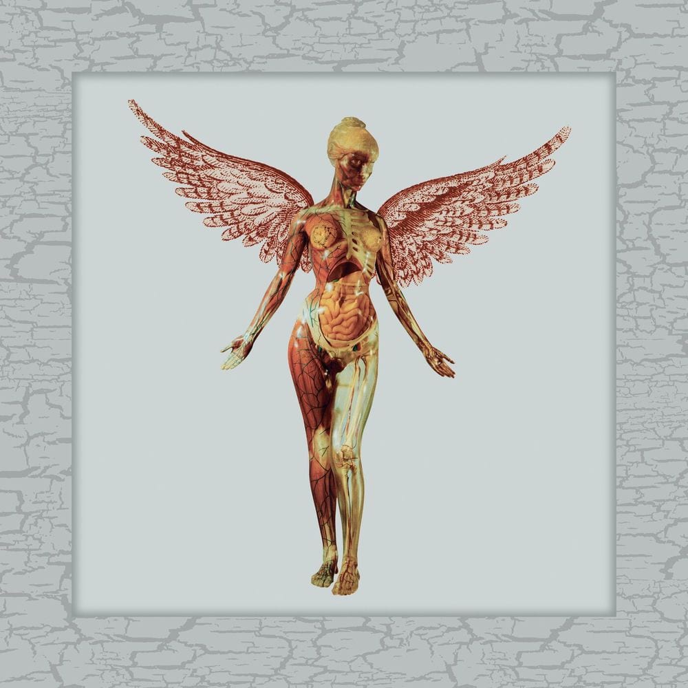 In Utero 30th Live cover