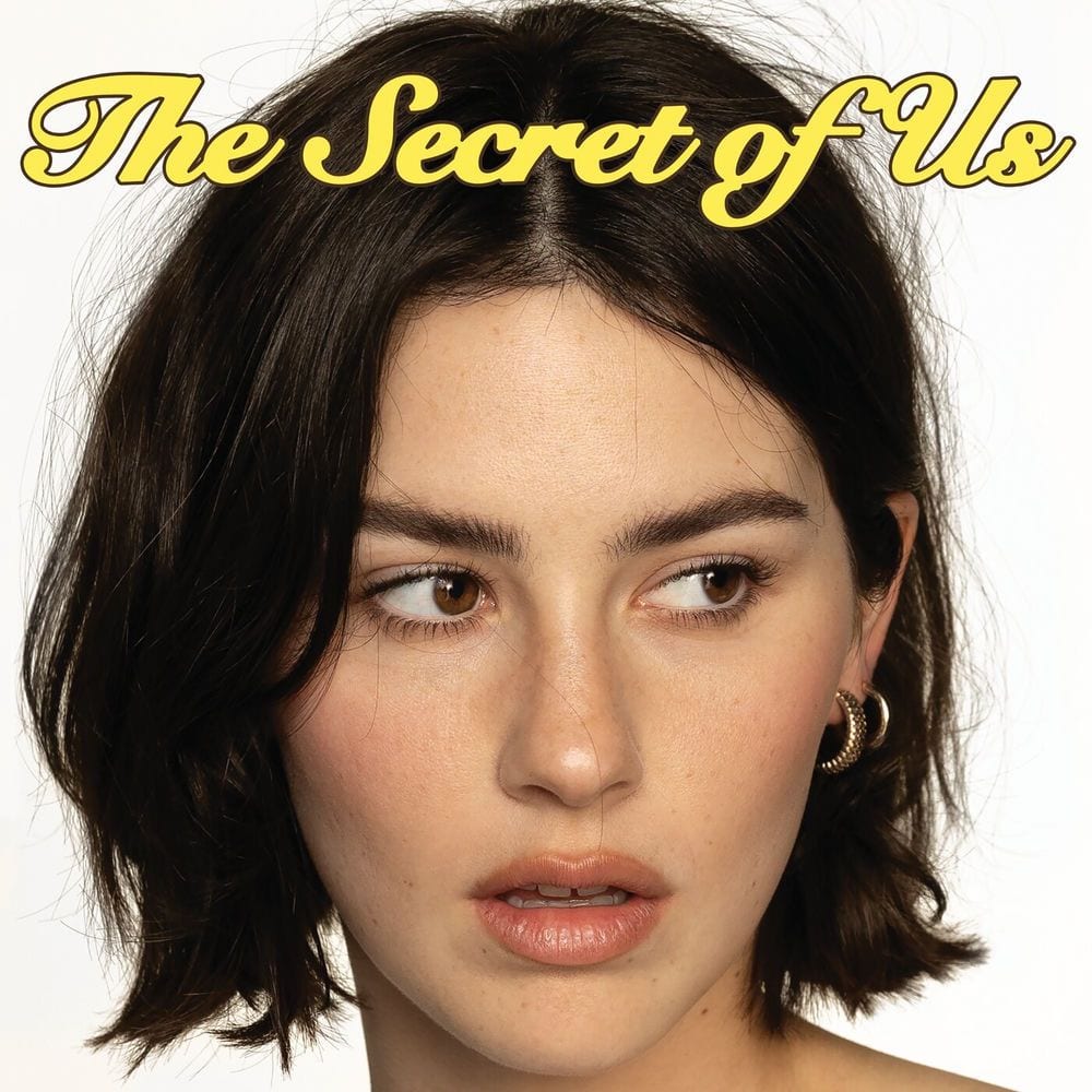 The Secret of Us cover