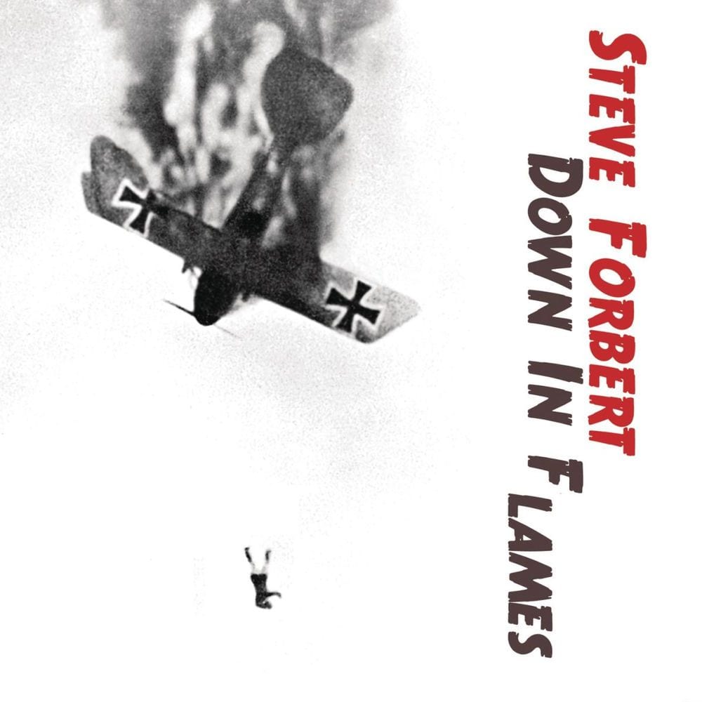 Down in Flames cover
