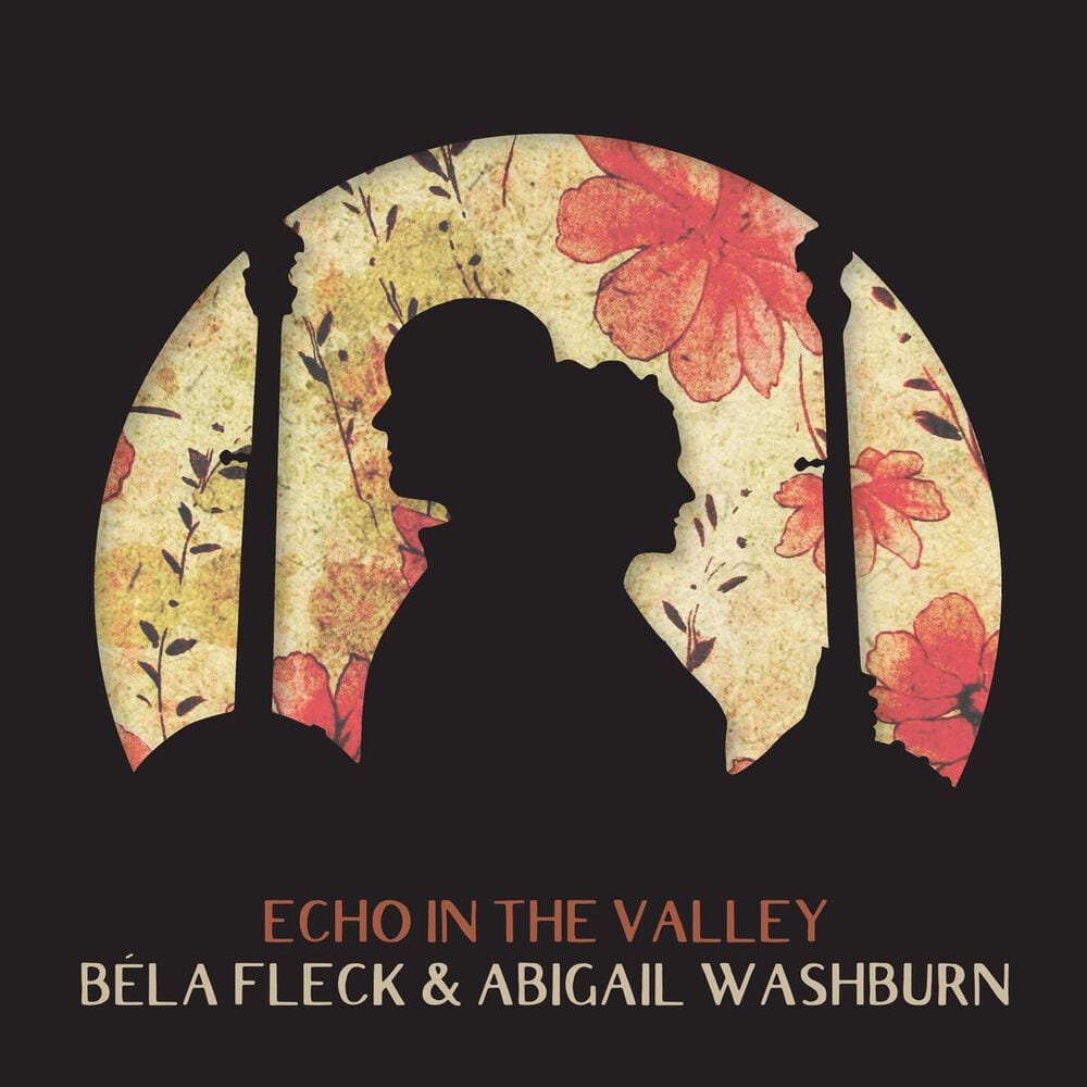 Echo in the Valley cover