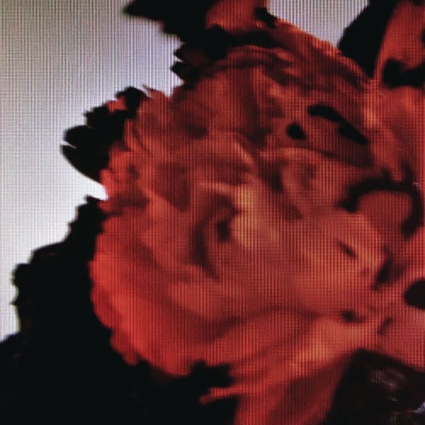 All of Me album cover