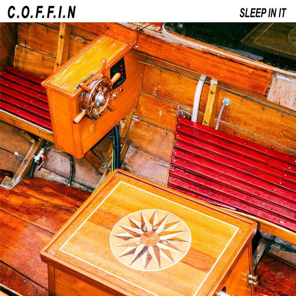 Sleep in It cover