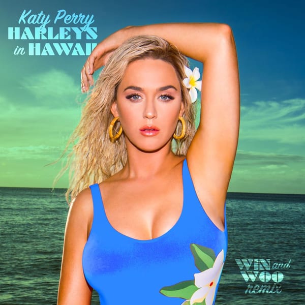 Harleys In Hawaii (Win and Woo Remix) cover