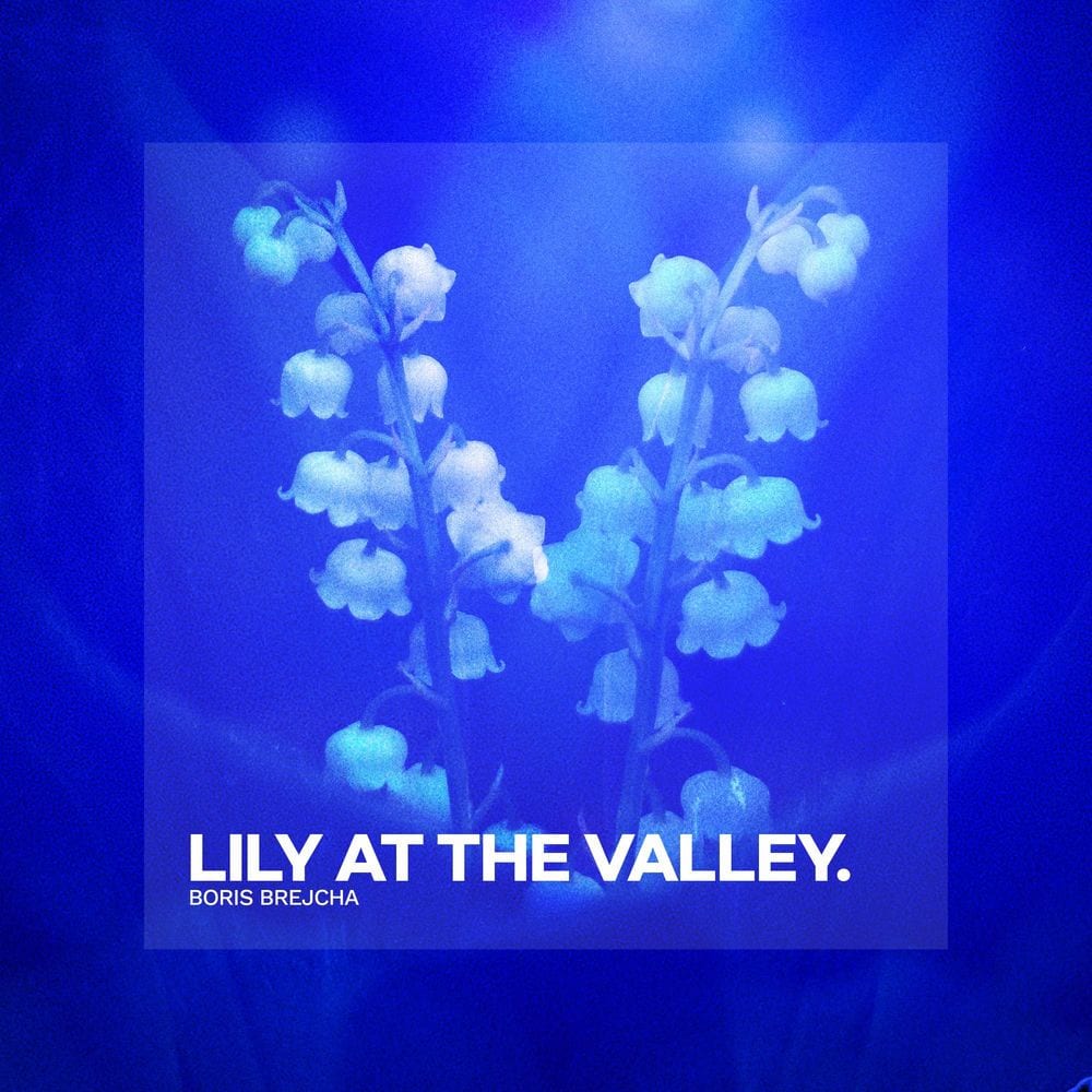 Lily At The Valley cover
