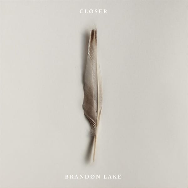 Closer cover