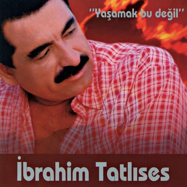 Yaşamak Bu Değil cover