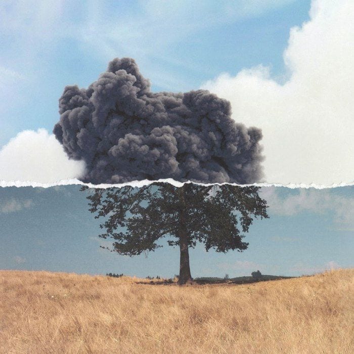 Cognition cover