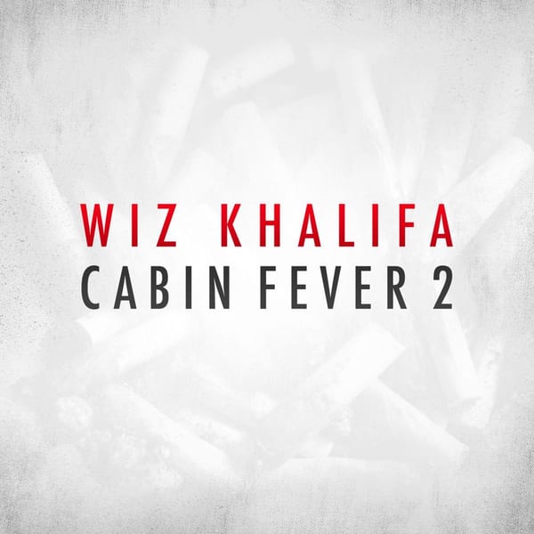 Cabin Fever 2 cover