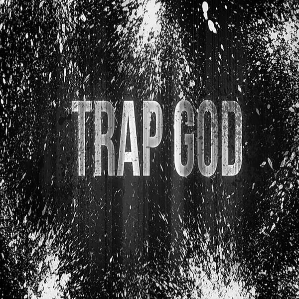 Diary Of A Trap God cover