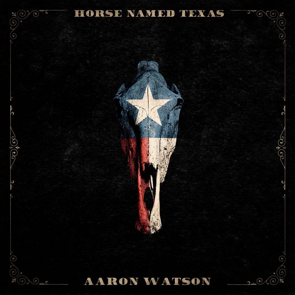 Horse Named Texas