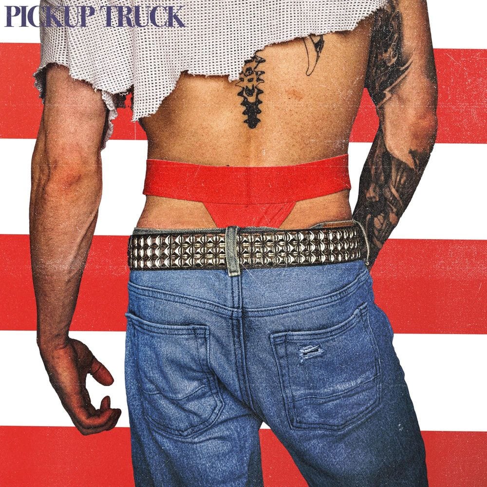 Pickup Truck cover