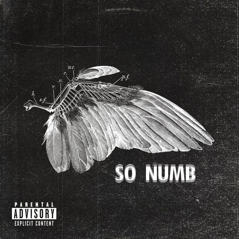 So Numb cover