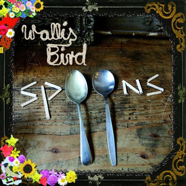Spoons cover