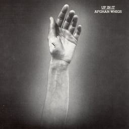 Up in It album cover