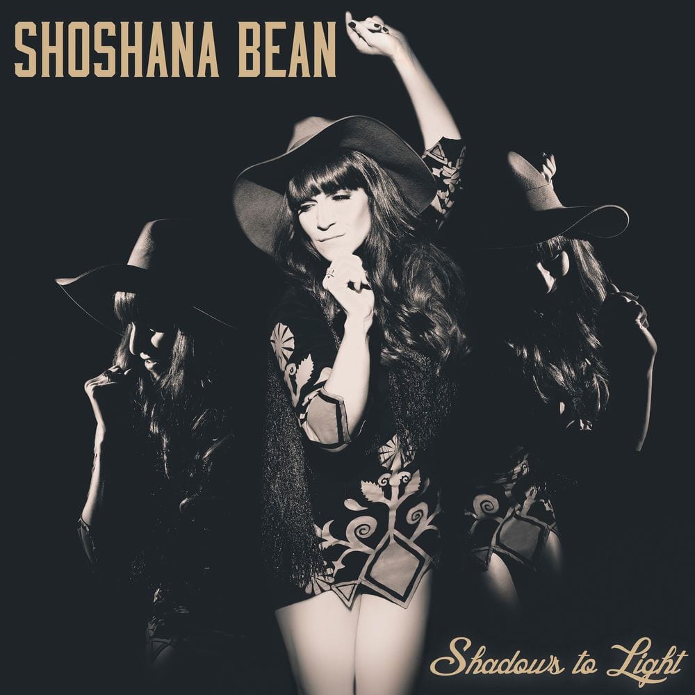 Shadows to Light cover