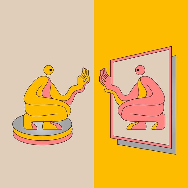 Mirrors cover