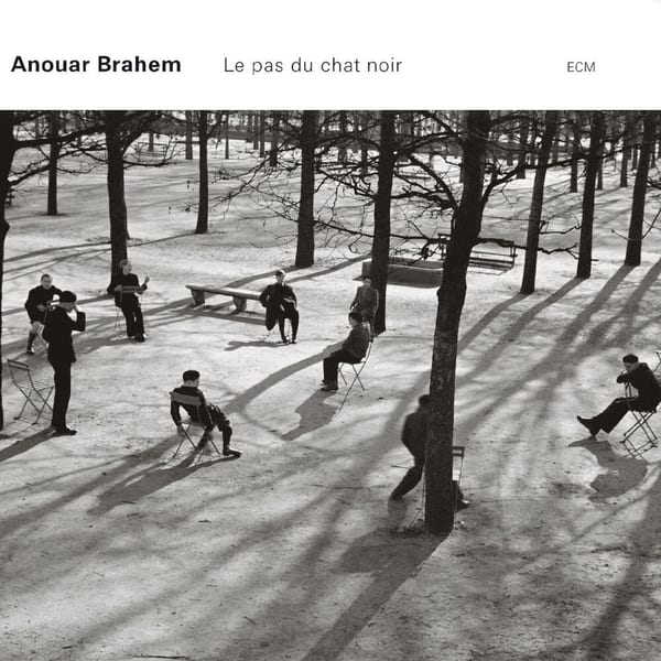 Le pas du chat noir cover