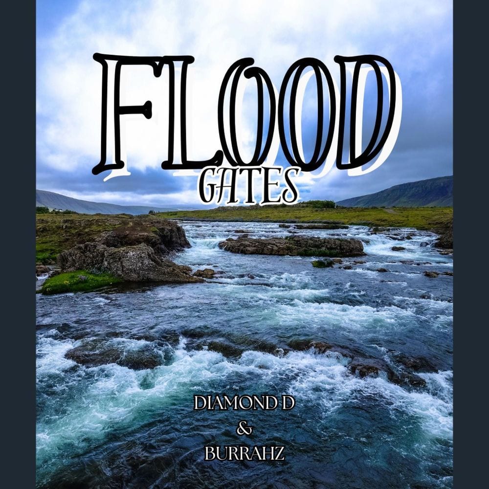 Flood Gates cover