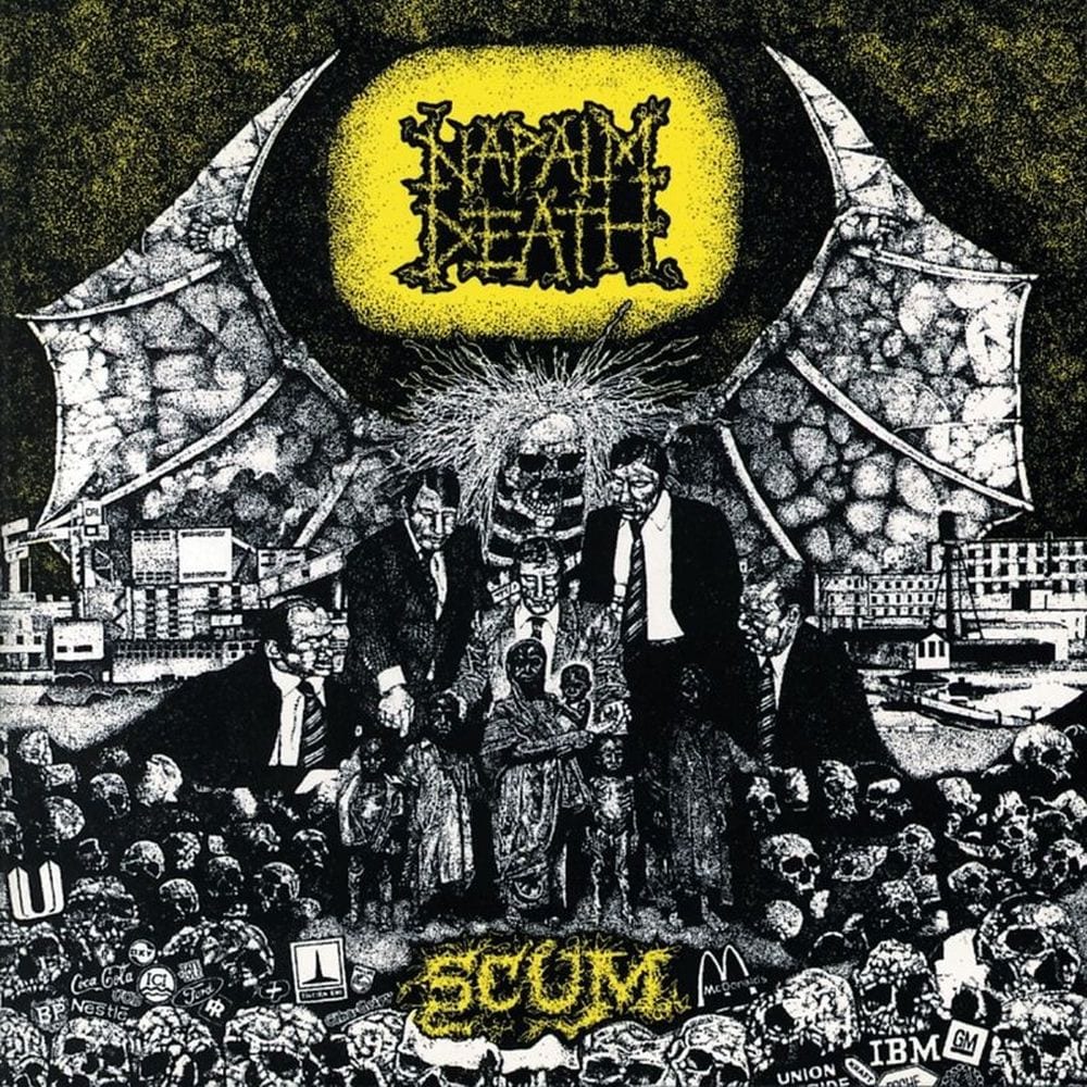 Scum cover