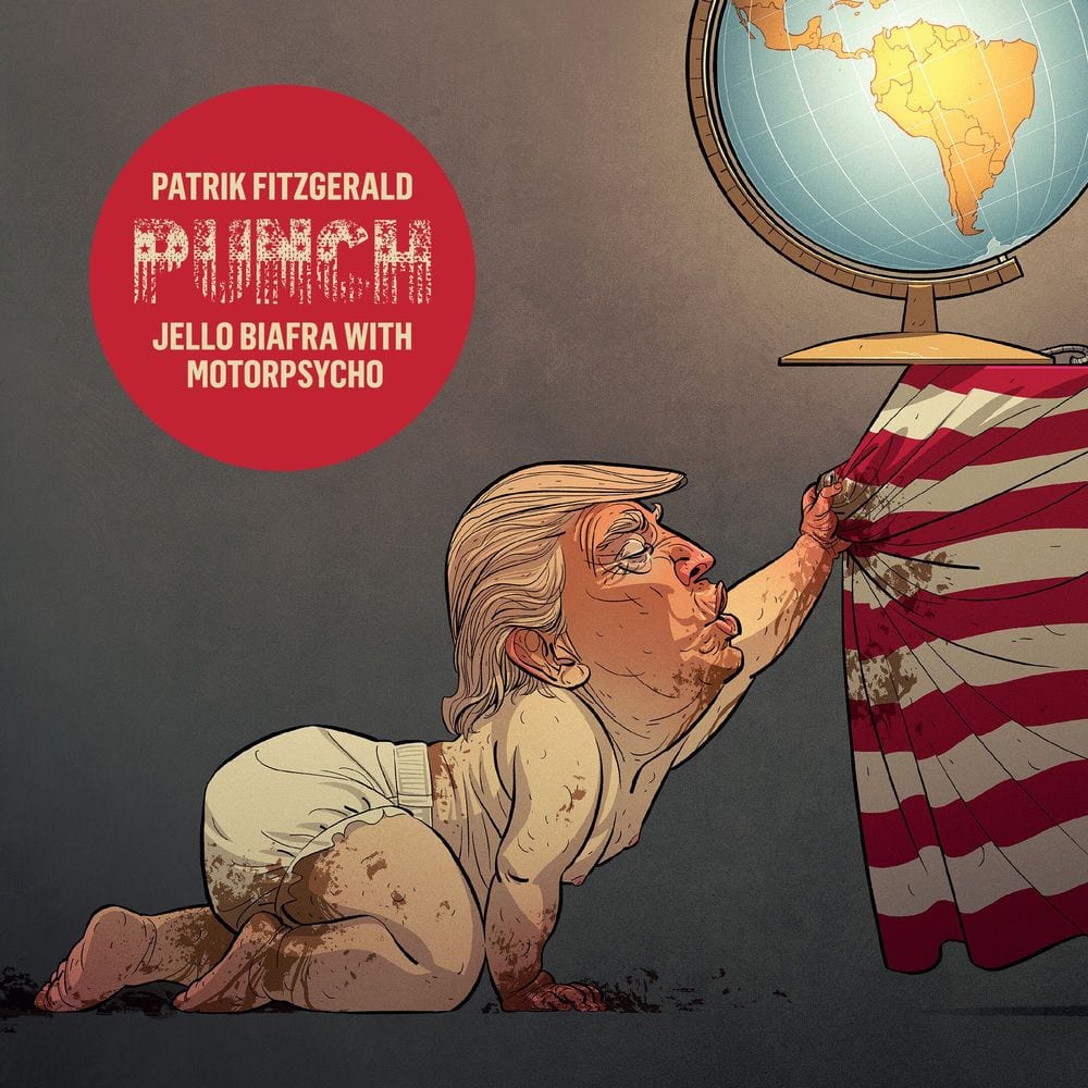 Punch cover