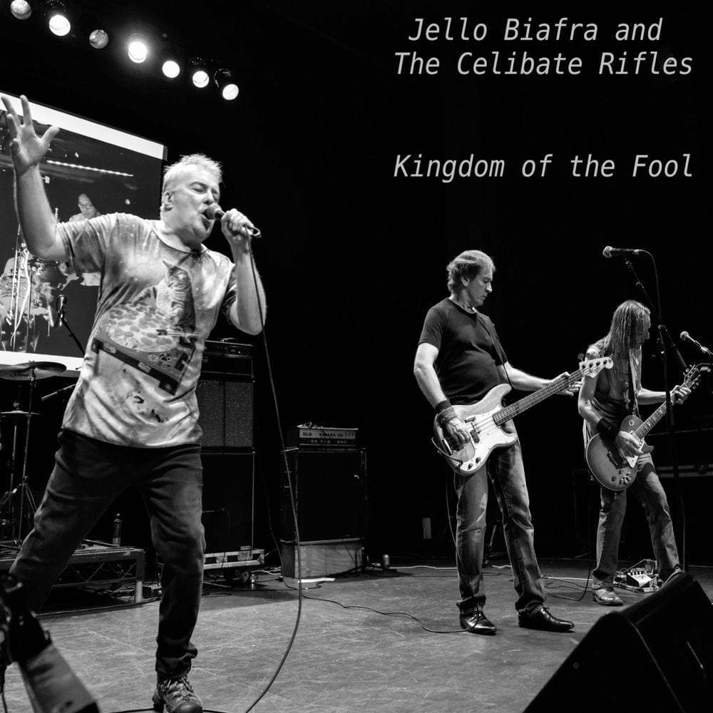 Kingdom of the Fool cover