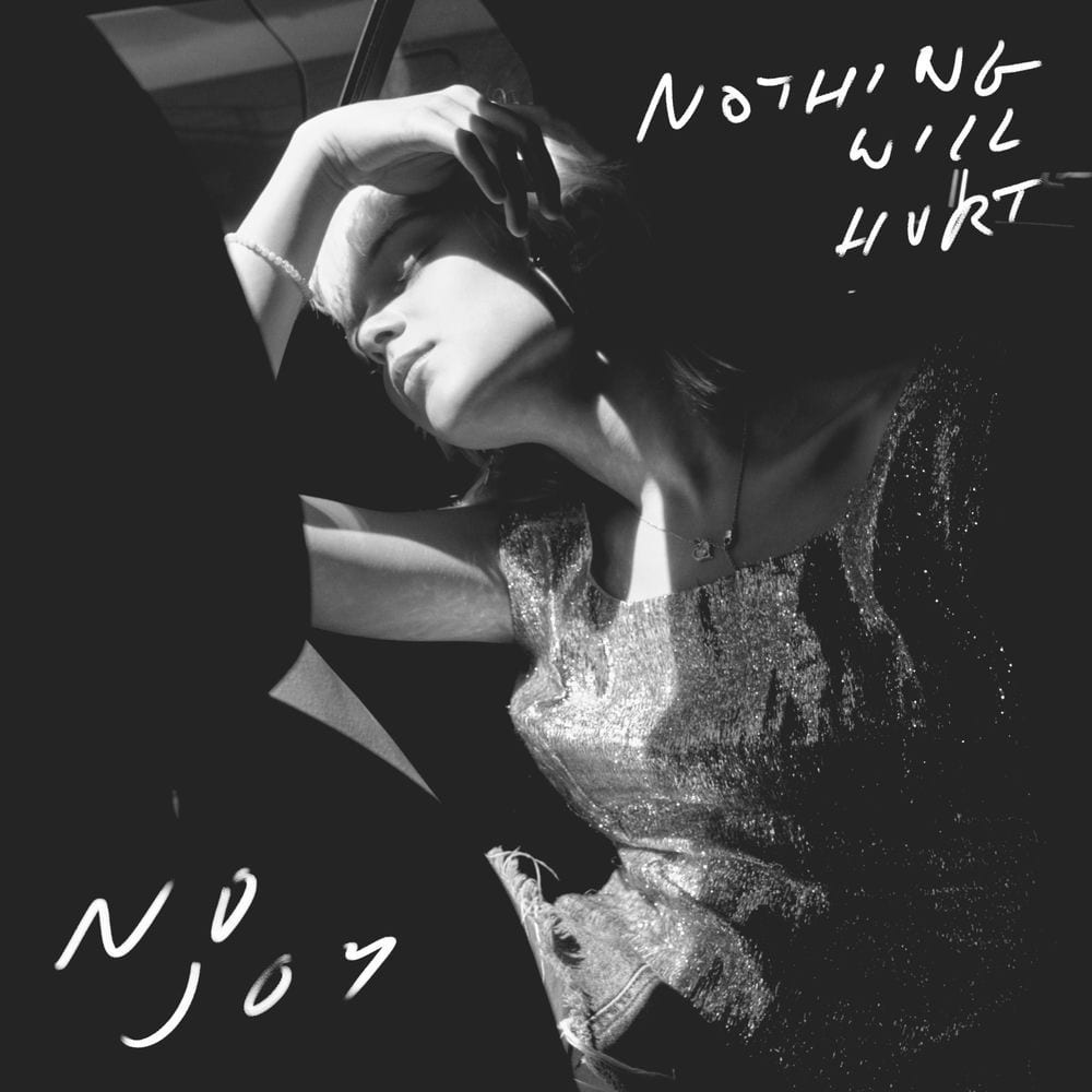 Nothing Will Hurt cover