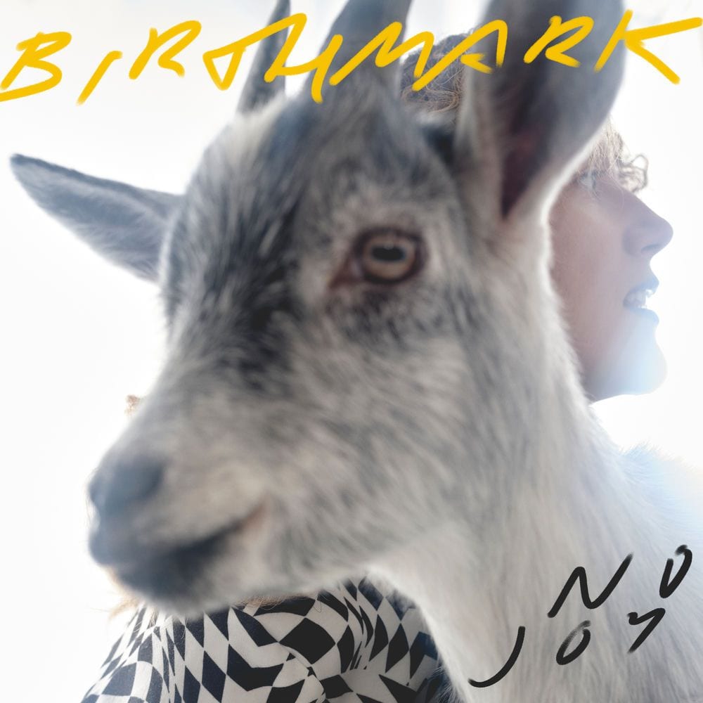 Birthmark cover