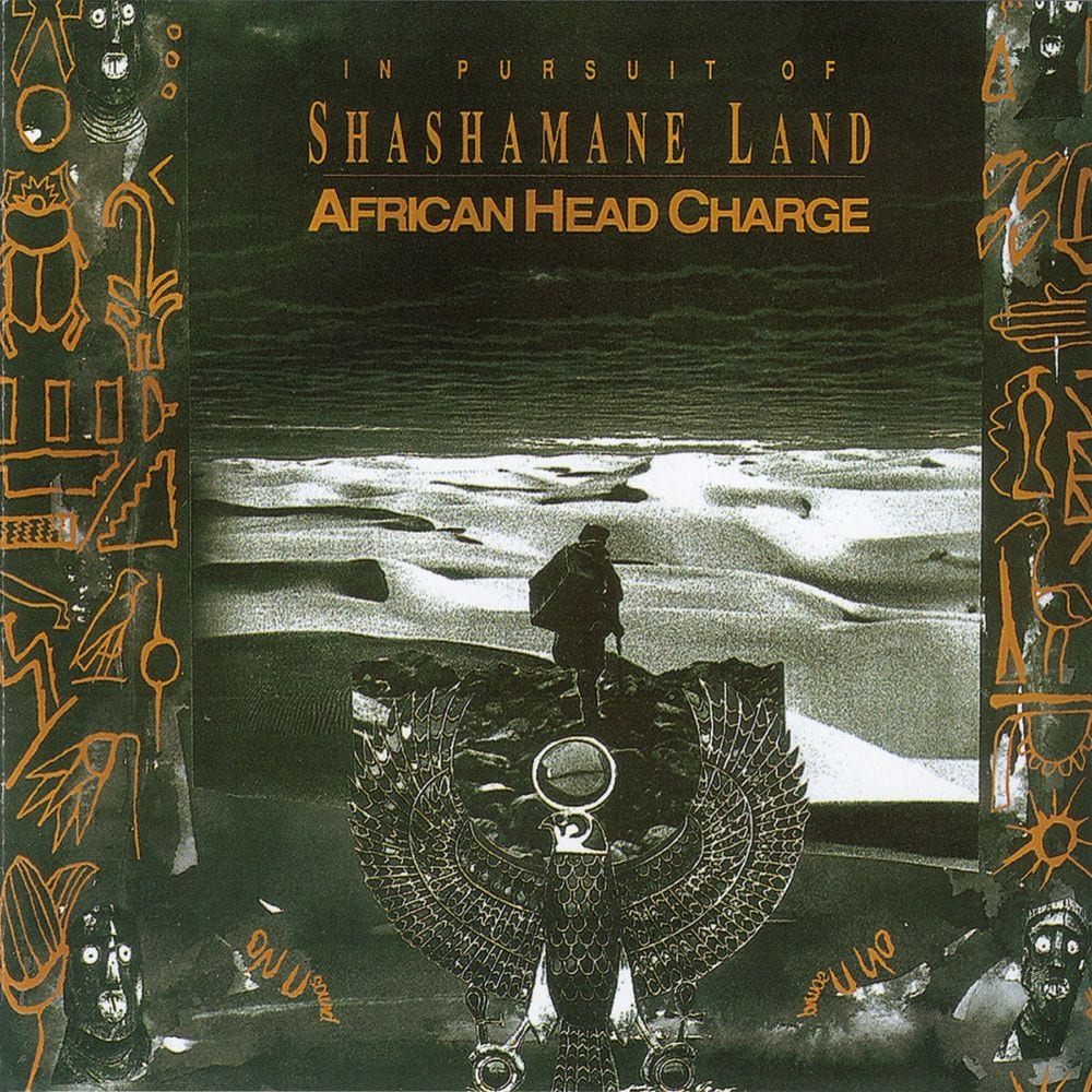 In Pursuit Of Shashamane Land cover