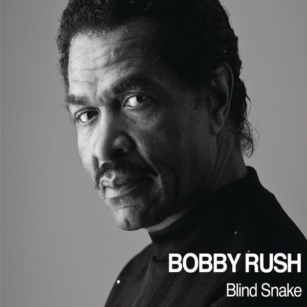 Blind Snake album cover