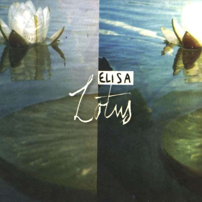 Lotus cover