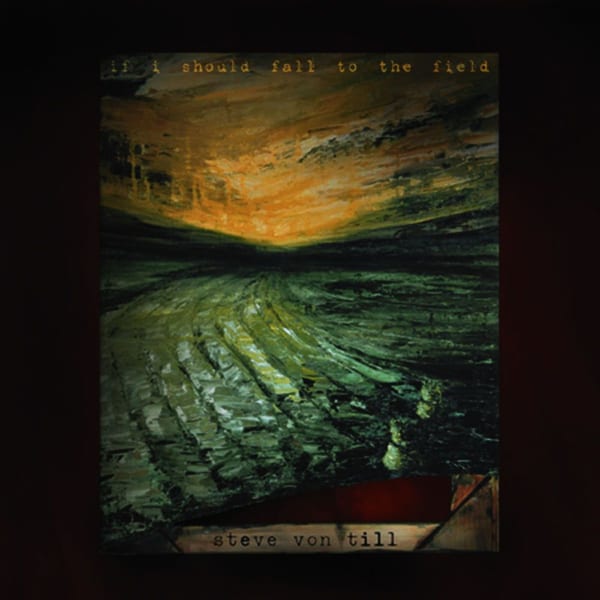 If I Should Fall to the Field album cover