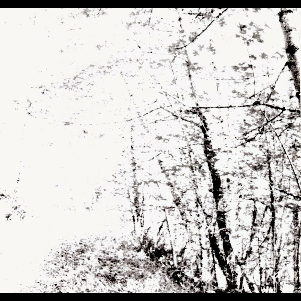 The White EP cover