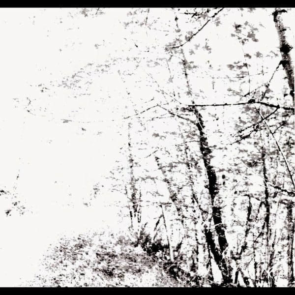 The White EP cover