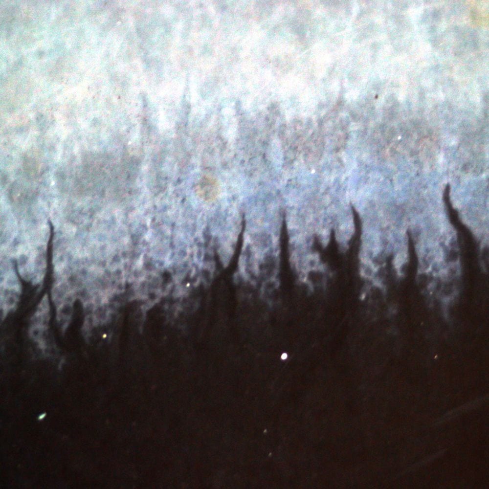 Scars of the Shattered Sky cover