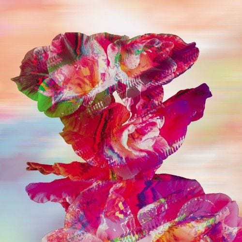 Bloom cover