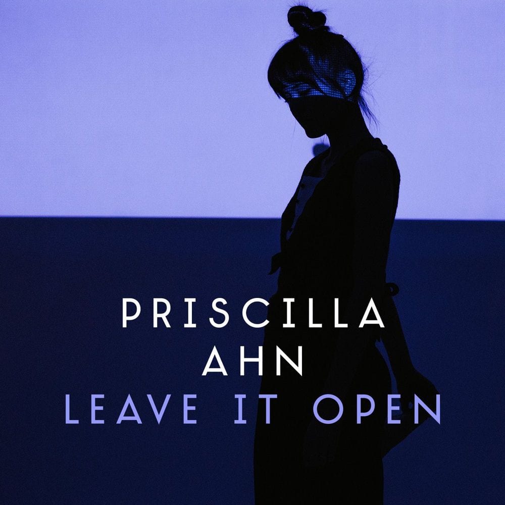 Leave It Open cover