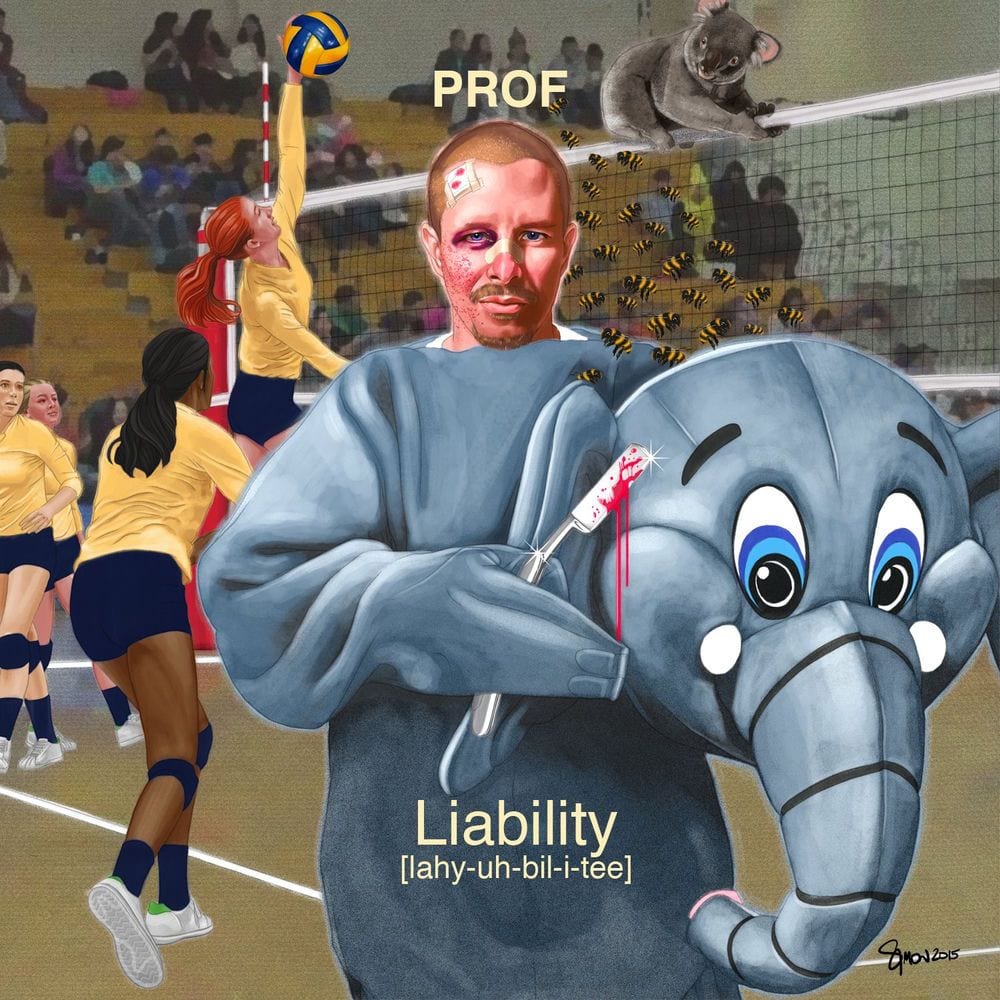 Liability cover