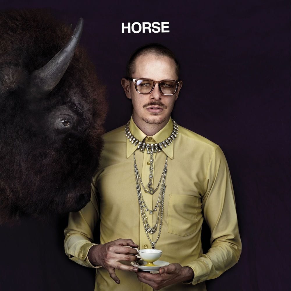 Horse cover