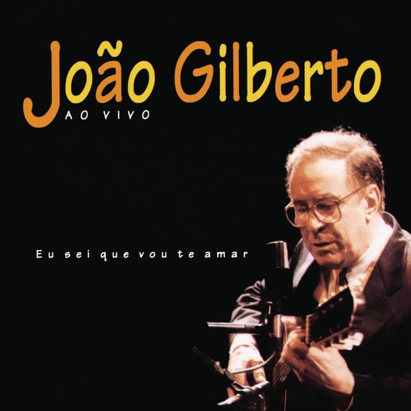 Eu Sei Que Vou Te Amar cover