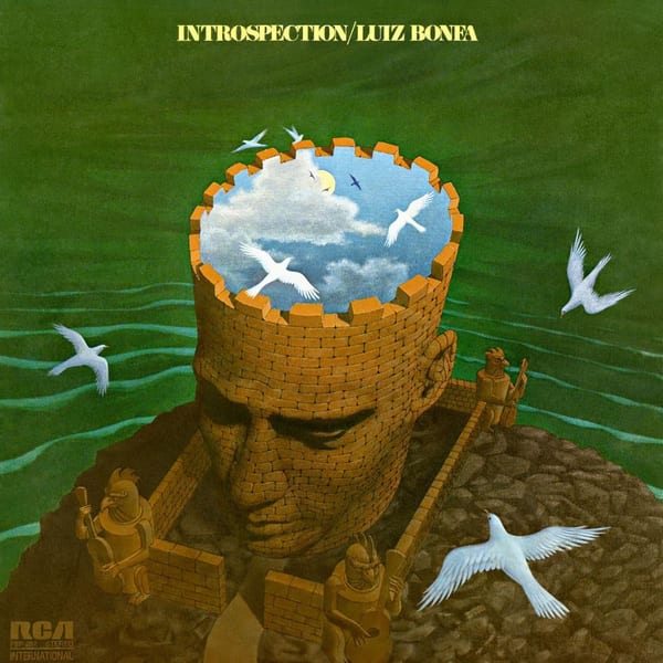 Introspection cover